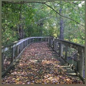 Meet your Posher, Lisa joe